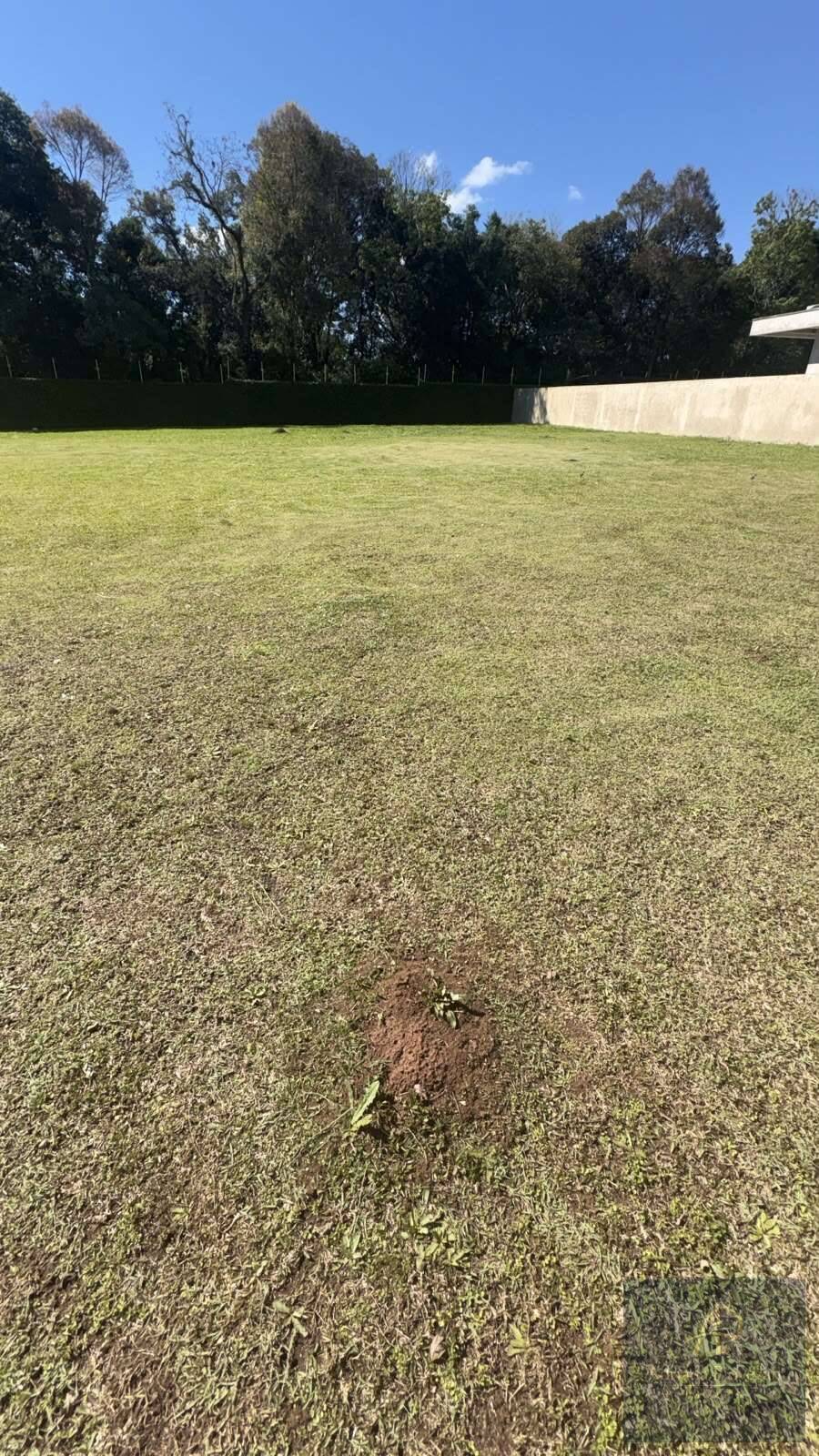  - Terreno em Condomínio à venda em Curitiba, Butiatuvinha, 771,75m²